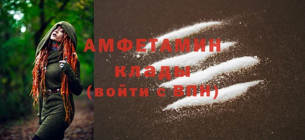 скорость Вяземский