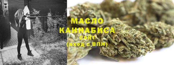 скорость Вяземский